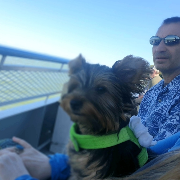 THIS BUS IS FULL!! PLEASE FIND NEW LISTING! XO - Picture 12 of 13